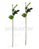 Ножка одиночная с листьями хризантемы, Люкс, 620 мм