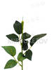 Ножка одиночная с резными листьями под розу, Люкс, 590 мм