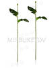 Ножка одиночная с листьями хризантемы, Люкс, 480 мм