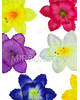 Пресс цветы с тычинкой и вставкой Нарцисс, 120 мм