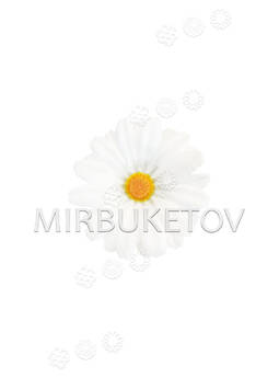 Штучні квіти Ромашка, біла, шовк, 80 мм