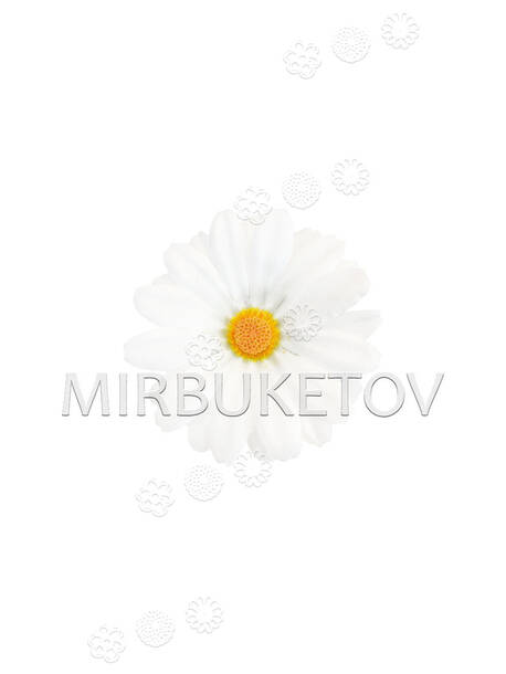 Штучні квіти Ромашка, біла, шовк, 80 мм