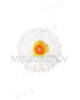 Искусственные цветы Ромашка, белая, шелк, 100 мм