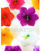 Штучні Прес квіти з тичинкою Лілія, 105 мм