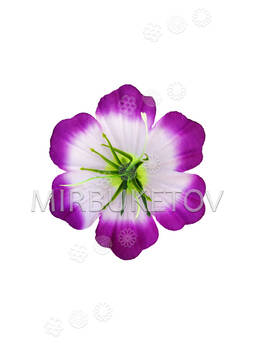 Искусственные пресс цветы с тычинкой куст Лилия, шелк, микс, 120 мм