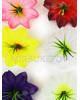 Искусственные пресс цветы Гибискуса, с тычинкой, шелк, микс, 130 мм
