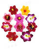 Искусственные Пресс цветы с тычинкой Лилия резная, бархат, микс, 95 мм