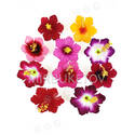 Штучні Прес квіти з тичинкою Гібіскус зубчастий, оксамит, мікс, 95 мм