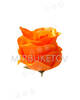 Роза бутон атласный пышный желтый (оранжевый), 80 мм