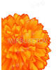 Штучні квіти Хризантема, шовк, 110 мм