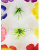 Искусственный пресс цветок Лотоса с тычинкой-куст, 80 мм