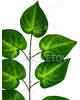 Ветка с 7 искусственными листьями, 420 мм