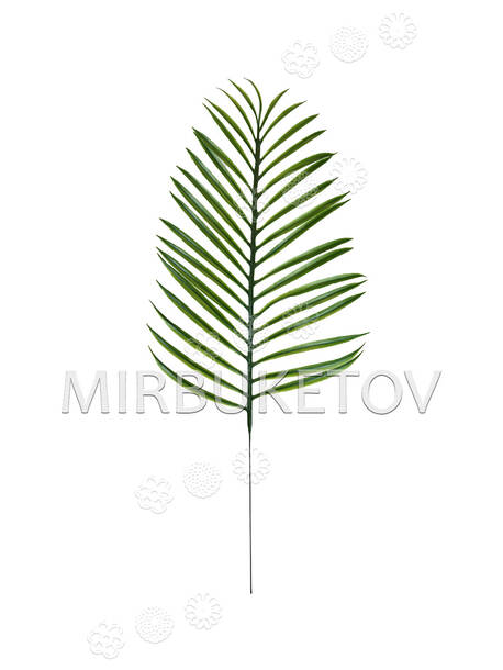 Лист пальмы пластмассовый, зеленый, 510 мм
