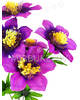Штучні квіти Букет Гібіскуса, 6 голів, 470 мм