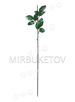 Ножка одиночная под розу, 3 тройных листа, 670 мм