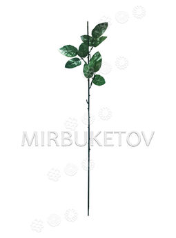 Ножка одиночная под розу, 3 тройных листа, 570 мм