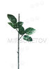 Ножка одиночная c 2 листьями под розу, темно-зеленая, 380 мм