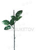 Ножка одиночная c 2 листьями под розу, темно-зеленая, 300 мм