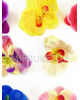 Искусственные цветы Орхидеи, шелк, микс, 120 мм