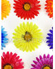 Штучні квіти Гербери, шовк, мікс, 130 мм