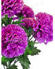 Искусственные цветы Букет Гвоздики, 7 голов, 680 мм