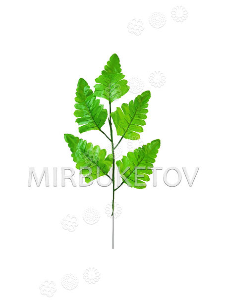 Гілка з листям папороті, 5 листків, зелена, 430 мм