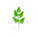 Ветка с листьями папоротника, 5 листьев, зеленый, 350 мм