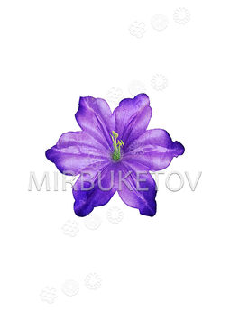 Пресс цветы с тычинкой Гибискус волнистый, 110 мм