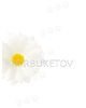 Штучні квіти білої Ромашки, шовк, 65 мм