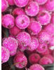 Добавка калина с капельками, фуксия (розовый), 140 мм