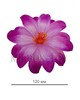 Искусственные цветы Крокуса, атлас, 120 мм