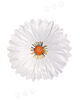 Штучні квіти Гербери "Збери сам", білий, атлас, 180 мм