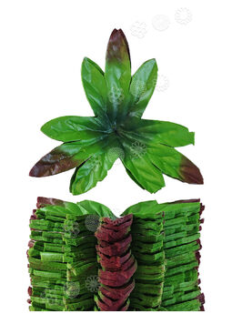 Штучний лист підставка "Потрійний півонія", зелений з коричневим краєм, 150 мм