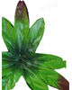 Штучний лист підставка "Потрійний півонія", зелений з коричневим краєм, 150 мм