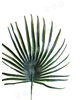 Лист пальми пластмасовий, темно-зелений, 300x200 мм
