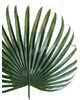 Лист пальмы пластмассовый, темно-зеленый, 420x270 мм