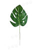 Лист Филодендрона на ножке, зеленый с прожилками, высота 460 мм