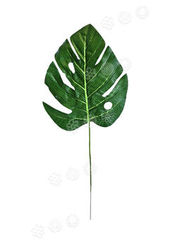 Лист Филодендрона на ножке, зеленый с прожилками, высота 460 мм
