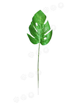 Лист Филодендрона на ножке, зеленый с прожилками, высота 490 мм