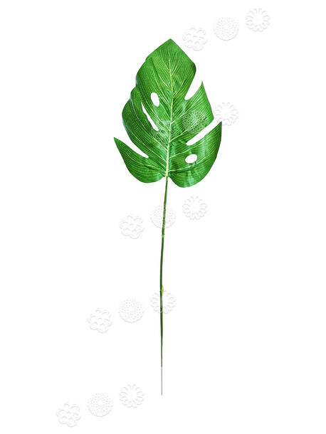 Лист Монстеры на ножке, зеленый с прожилками, высота 490 мм