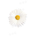 Искусственные цветы Ромашки (Герберы), 5 лепестков, белая, атлас, 120 мм