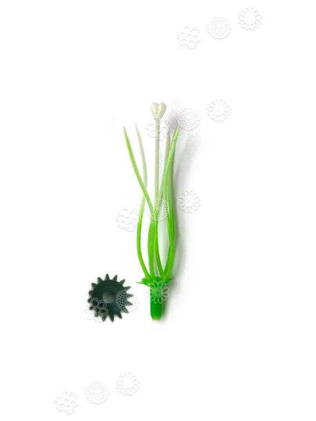 Тичинка для квітів, зелена з білим, 65 мм