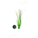 Тичинка для квітів, зелена з білим, 65 мм