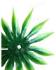 Тычинка-куст для цветов, зеленая, высота 50 мм, диаметр 75 мм (вид сзади)