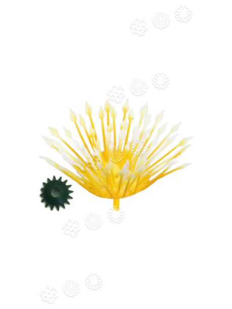 Тычинка для цветов, желтая, высота 60 мм, диаметр 60 мм