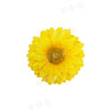 Искусственные цветы Подсолнуха, шелк, 120 мм