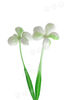 Добавка подвійна з квіточками, салатова з білим, 145 мм