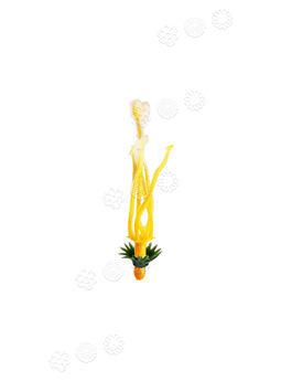 Тычинка для прес цветов, желтая, 55 мм