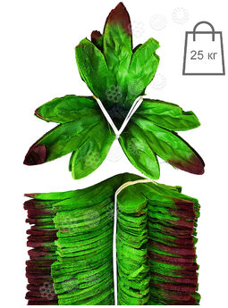 Штучний лист підставка "Потрійний півонія", зелений з коричневим краєм, 150 мм, мішок 25 кг