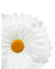 Штучні квіти Гербери, атлас, 115 мм